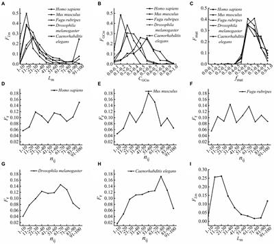 Analysis on the interactions between the first introns and other introns in mitochondrial ribosomal protein genes